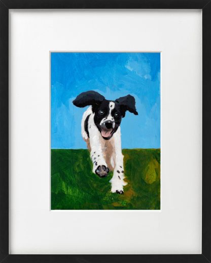 Blije hond