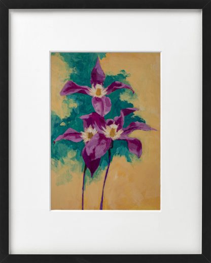 Clematis