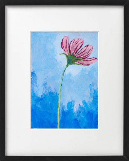 Cosmos