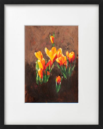 Crocussen