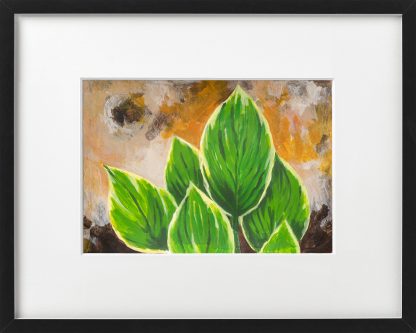 Hosta