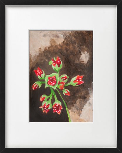 Onbekende bloem