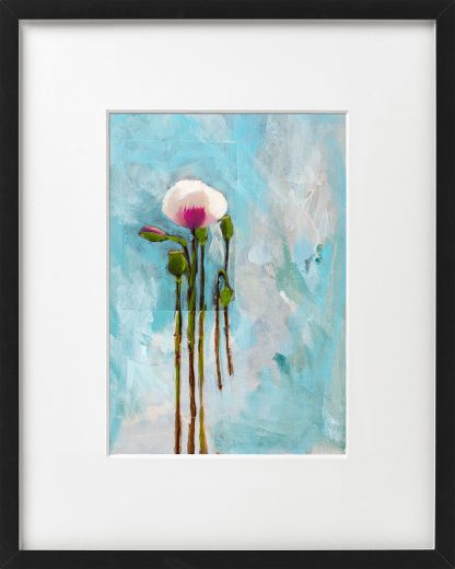 Papavers