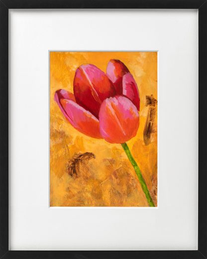Roze tulp