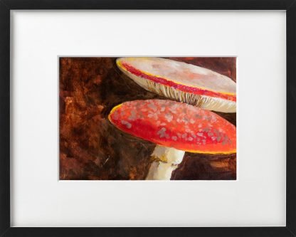 Twee giftige paddestoelen